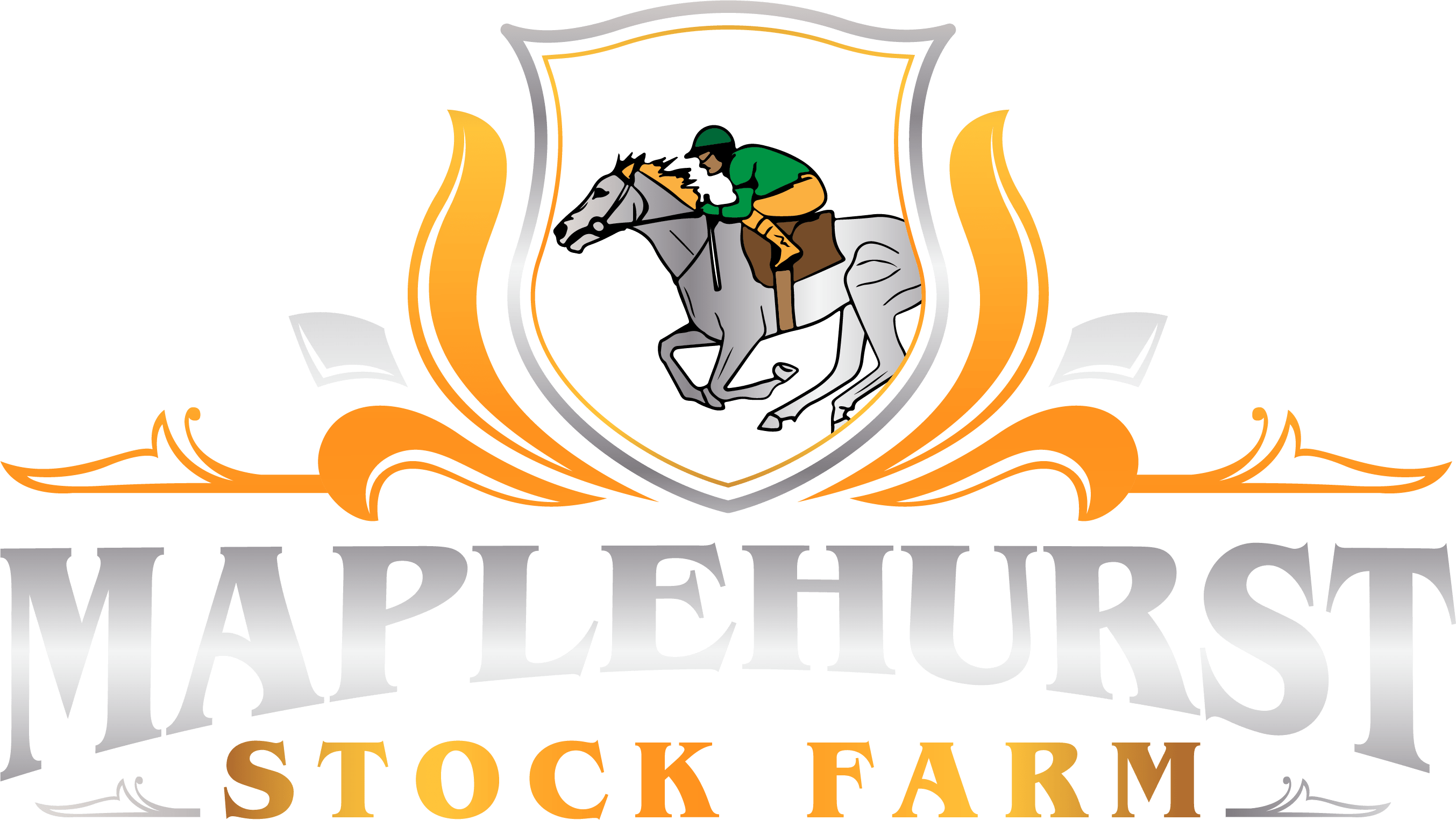 Home Maplehurst Stock Farm Heritage and Excellence in Horse Care