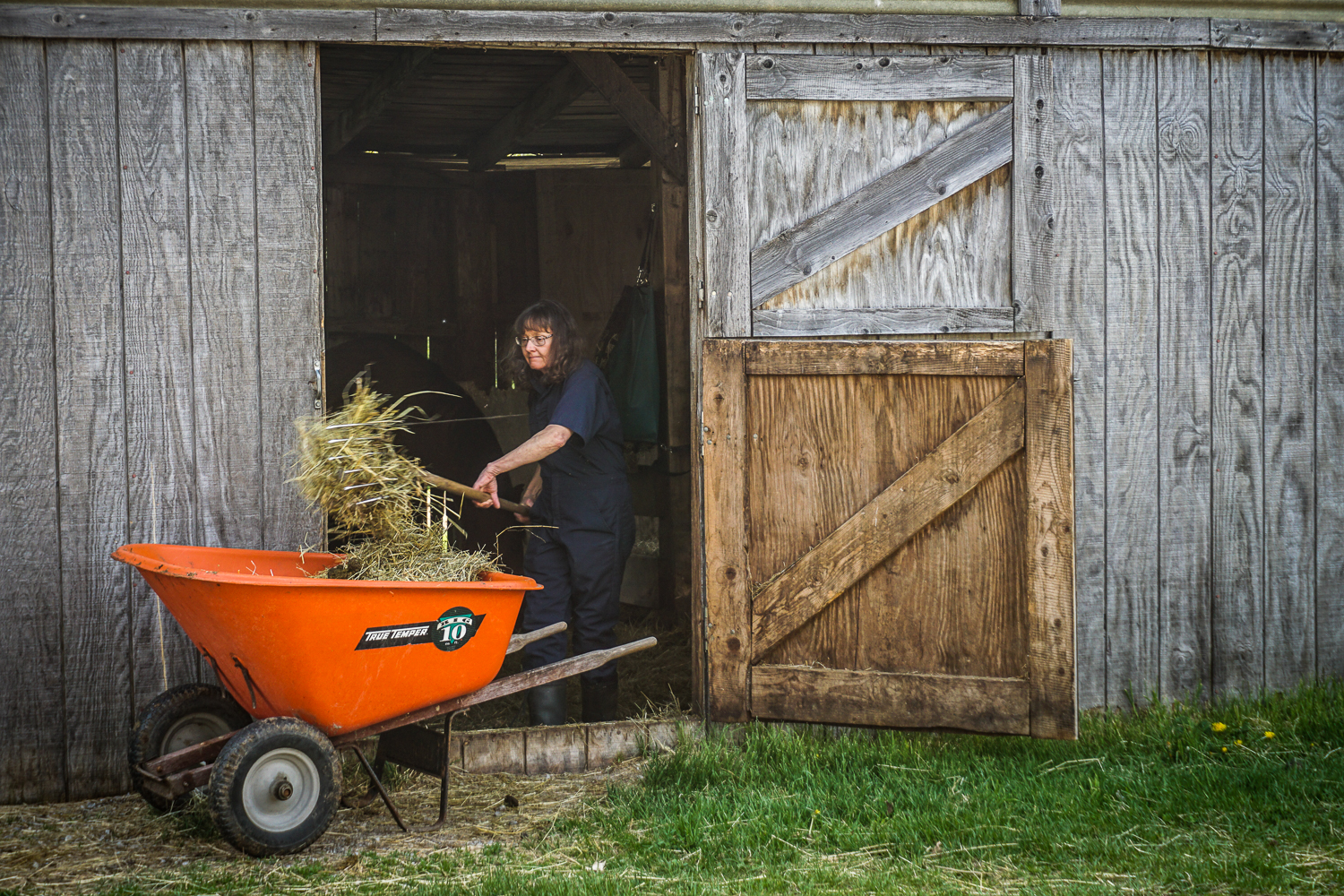 About Maple Lane Farm