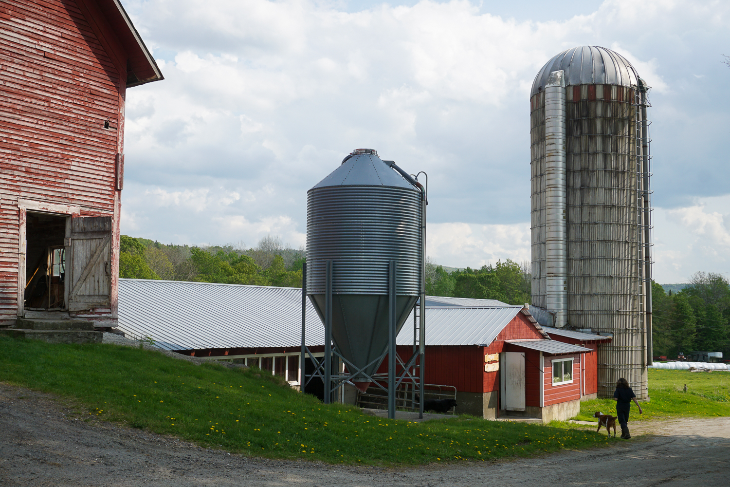 Products Maple Lane Farm