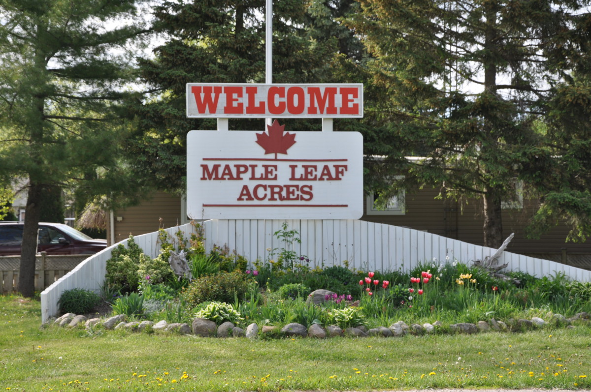 Gallery Maple Leaf Acres