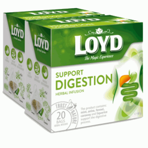 Best Loyd Support Digestion Tea 40g Maple Mart