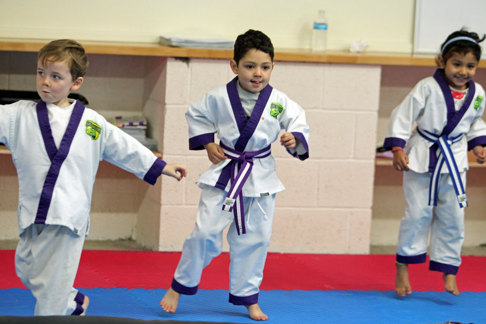 Creating a system for categorising martial arts games for