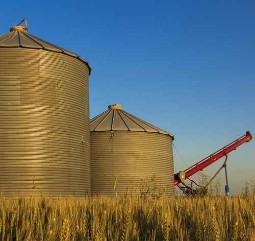 Farm Insurance Maple Mutual Insurance