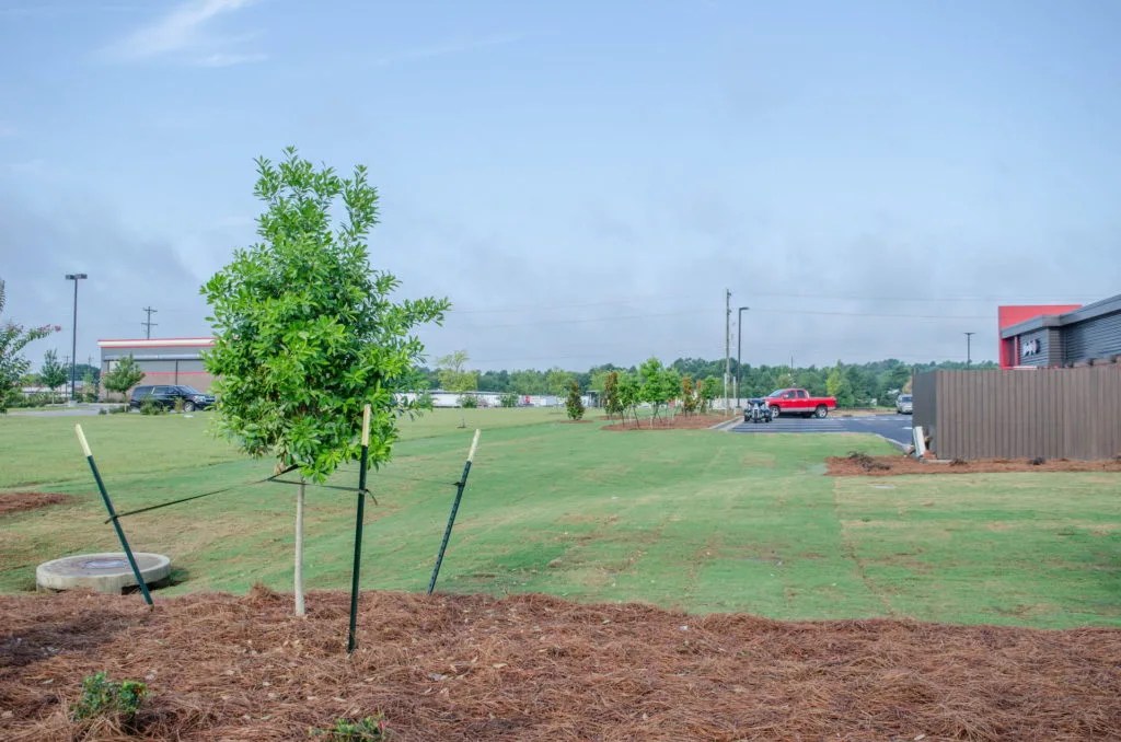 Top 11 Landscaping Franchise Canada Opportunities