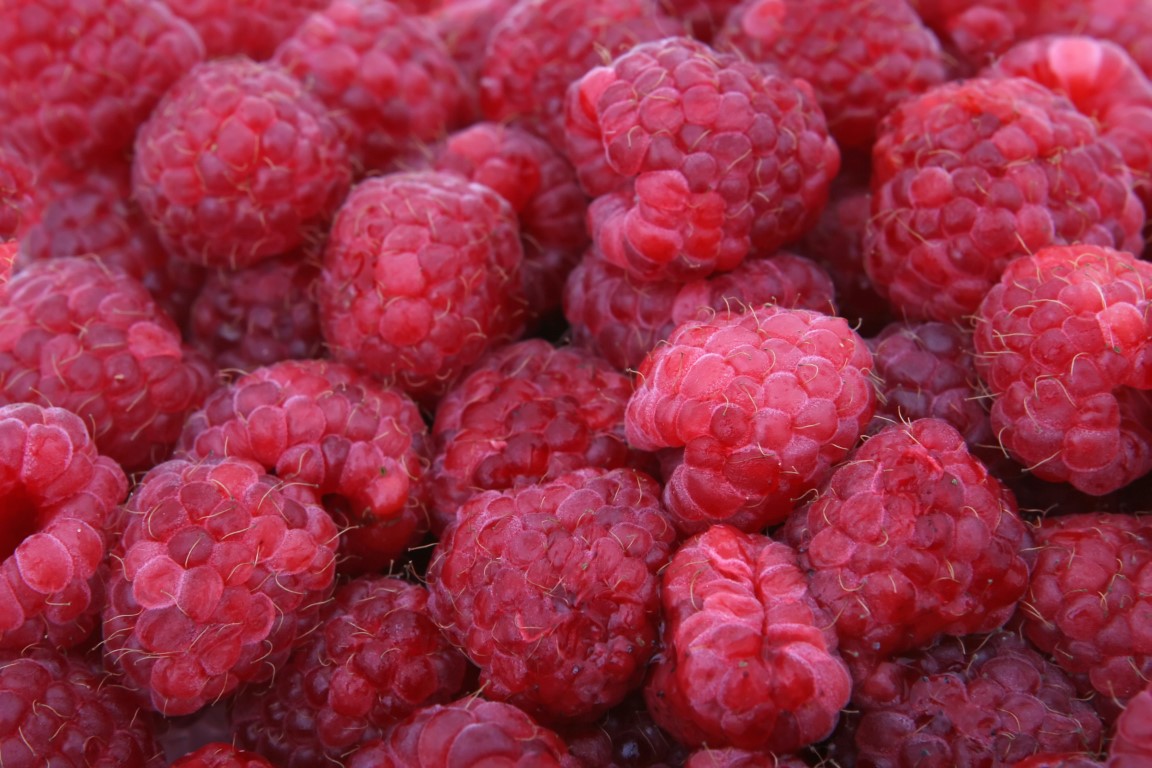 Heritage Raspberry for sale at Maples N More Nursery