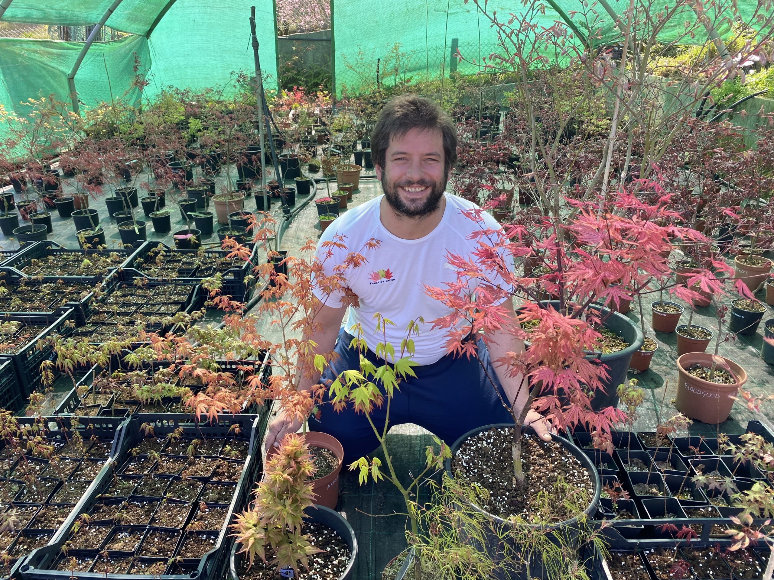 Maple Home Maple Society