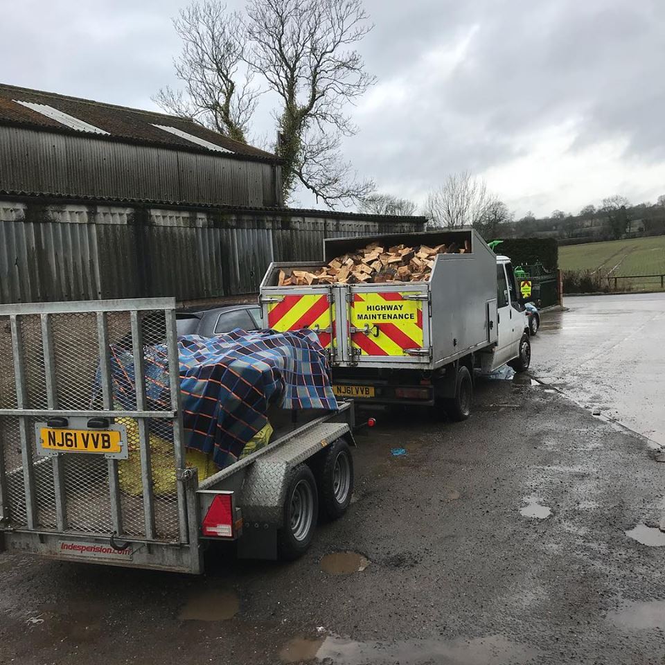 Maple Tree Care Tree Surgeons in Nottingham & Derby