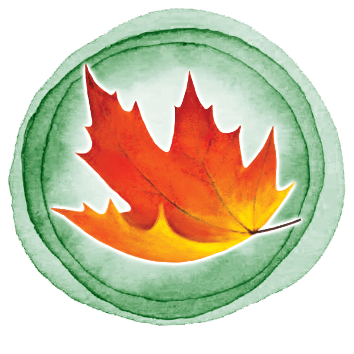 Home Maple Tree Synergy