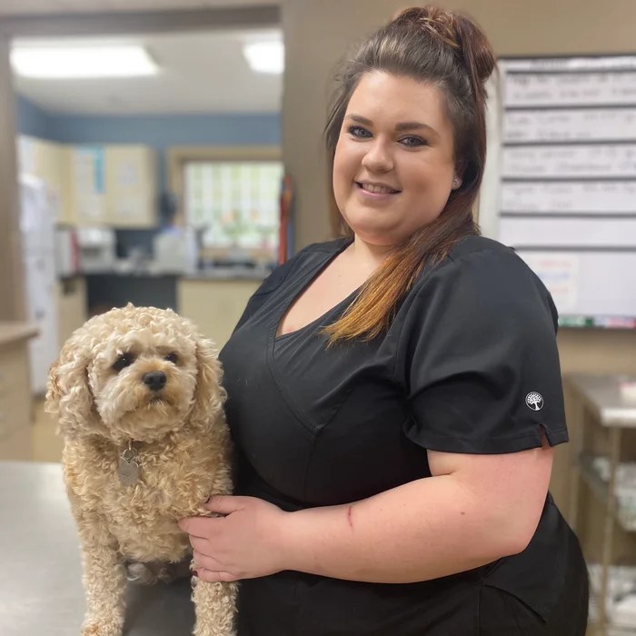 Veterinarian In Waynesville, NC 28786 Maple Tree Veterinary Hospital