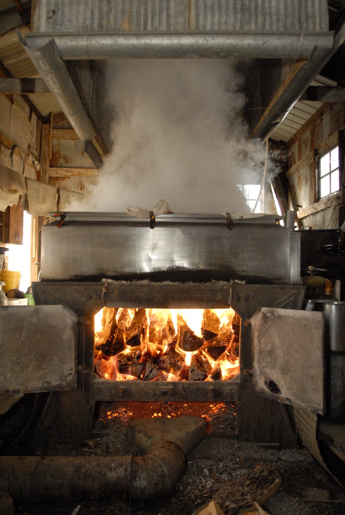 The History of Maple Syrup Maple Valley Cooperative