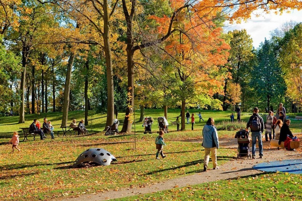 Mount Royal Park Expansive Park with Stunning City Views and Outdoor