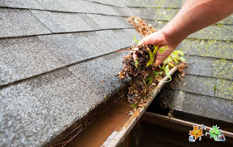 Gutters Maple Washing Exterior Cleaning and Upkeep