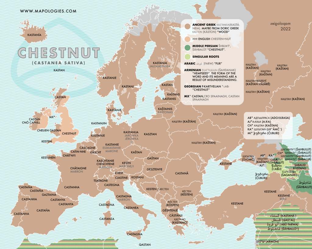 Nuts • M A P O L O G I E S