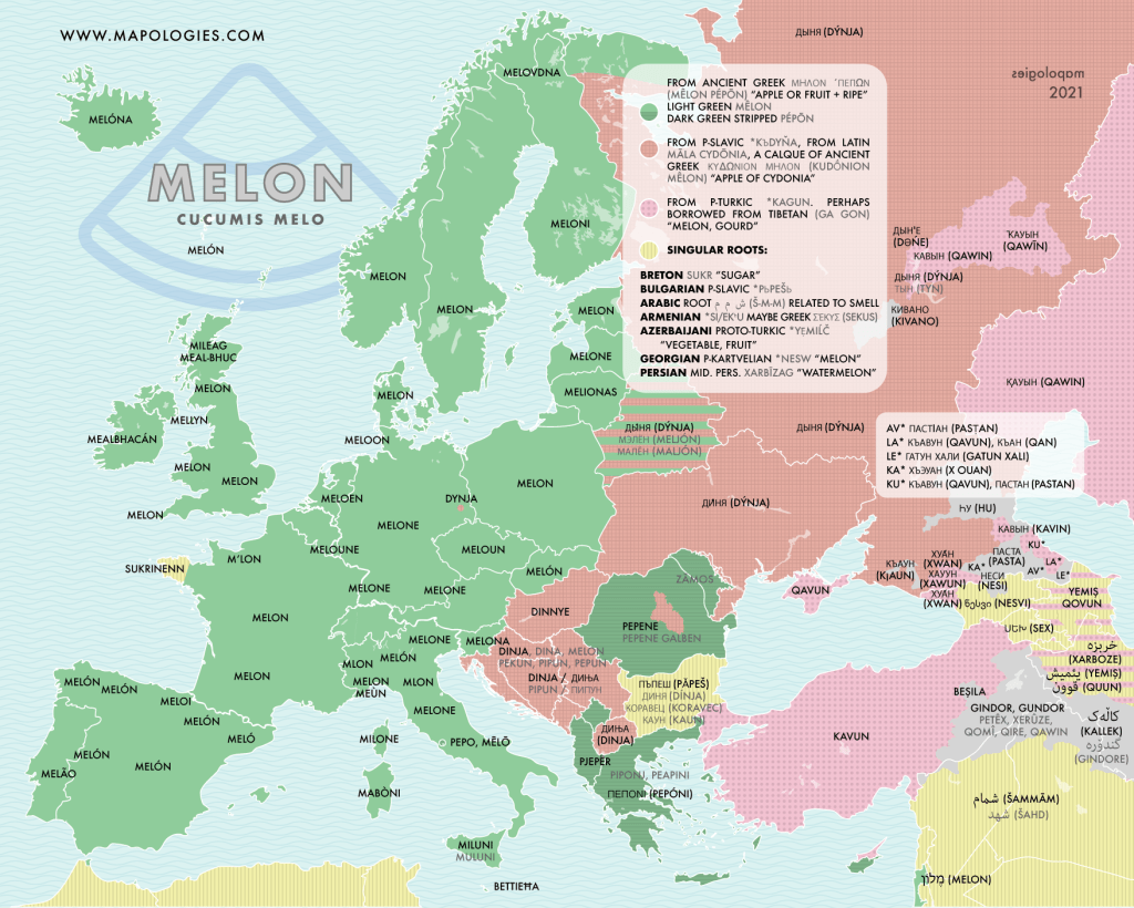 Fruits • M A P O L O G I E S