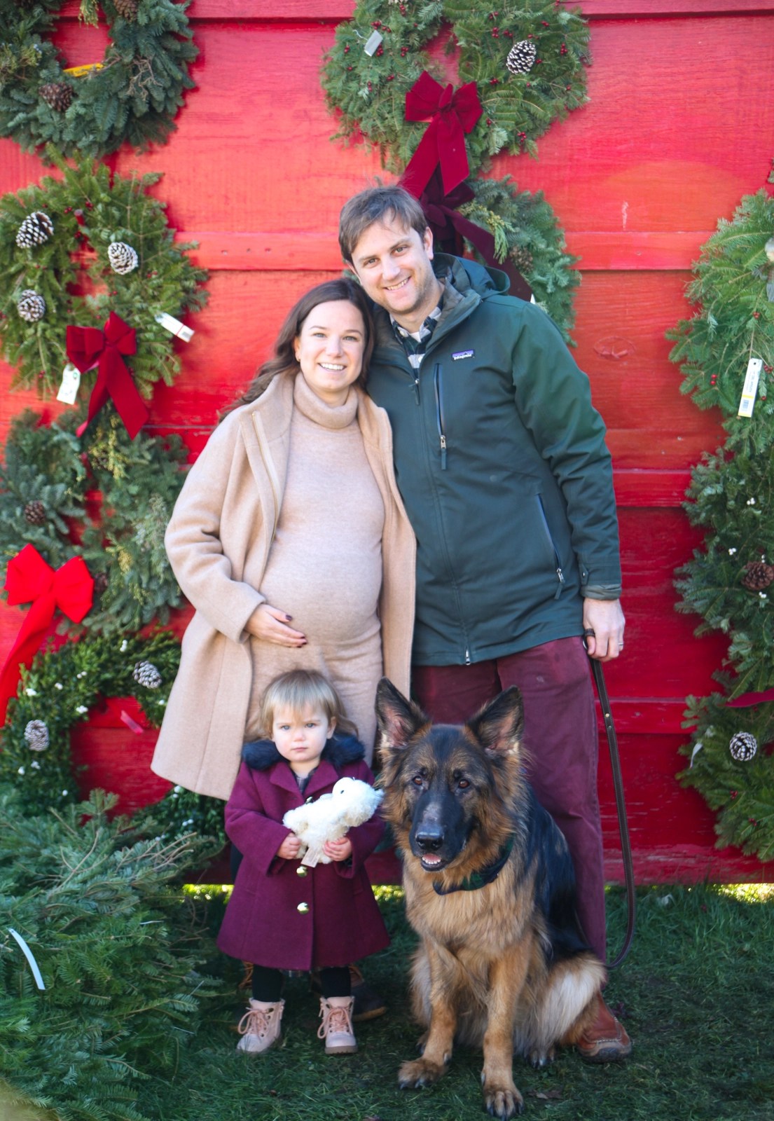 Favorite Dog Friendly Christmas Tree Farms near Boston Mapped by Megan