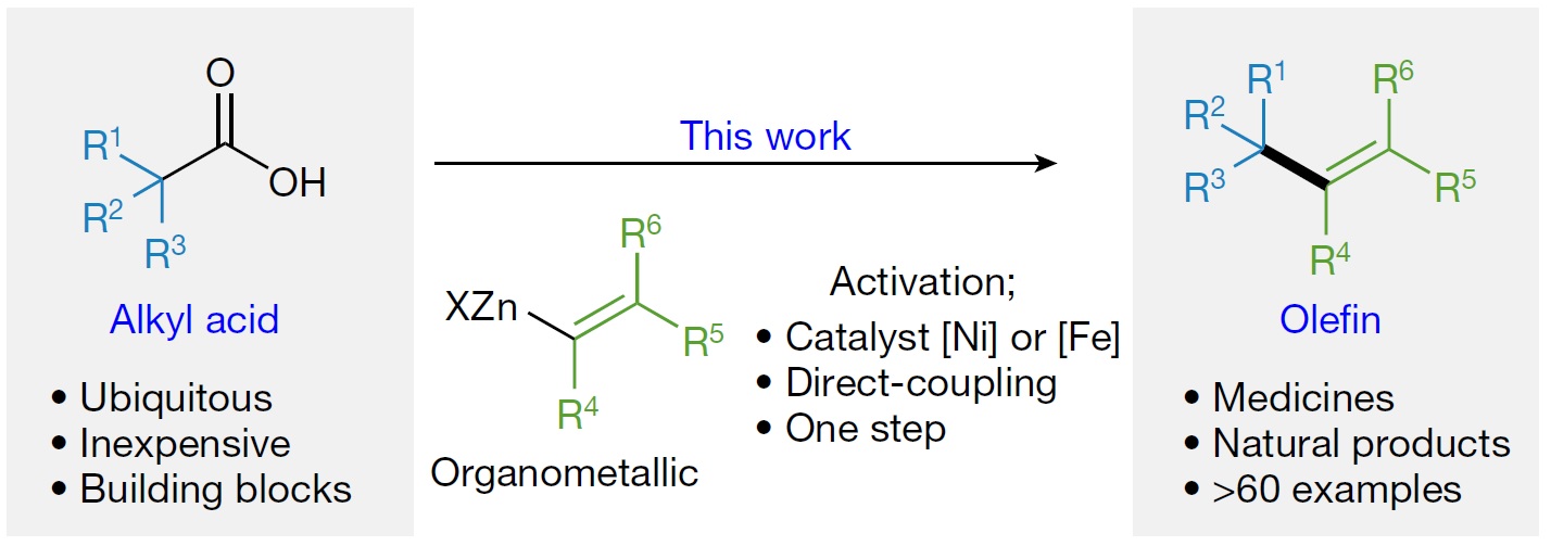 A new method to make valuable olefins from abundant carboxylic acids