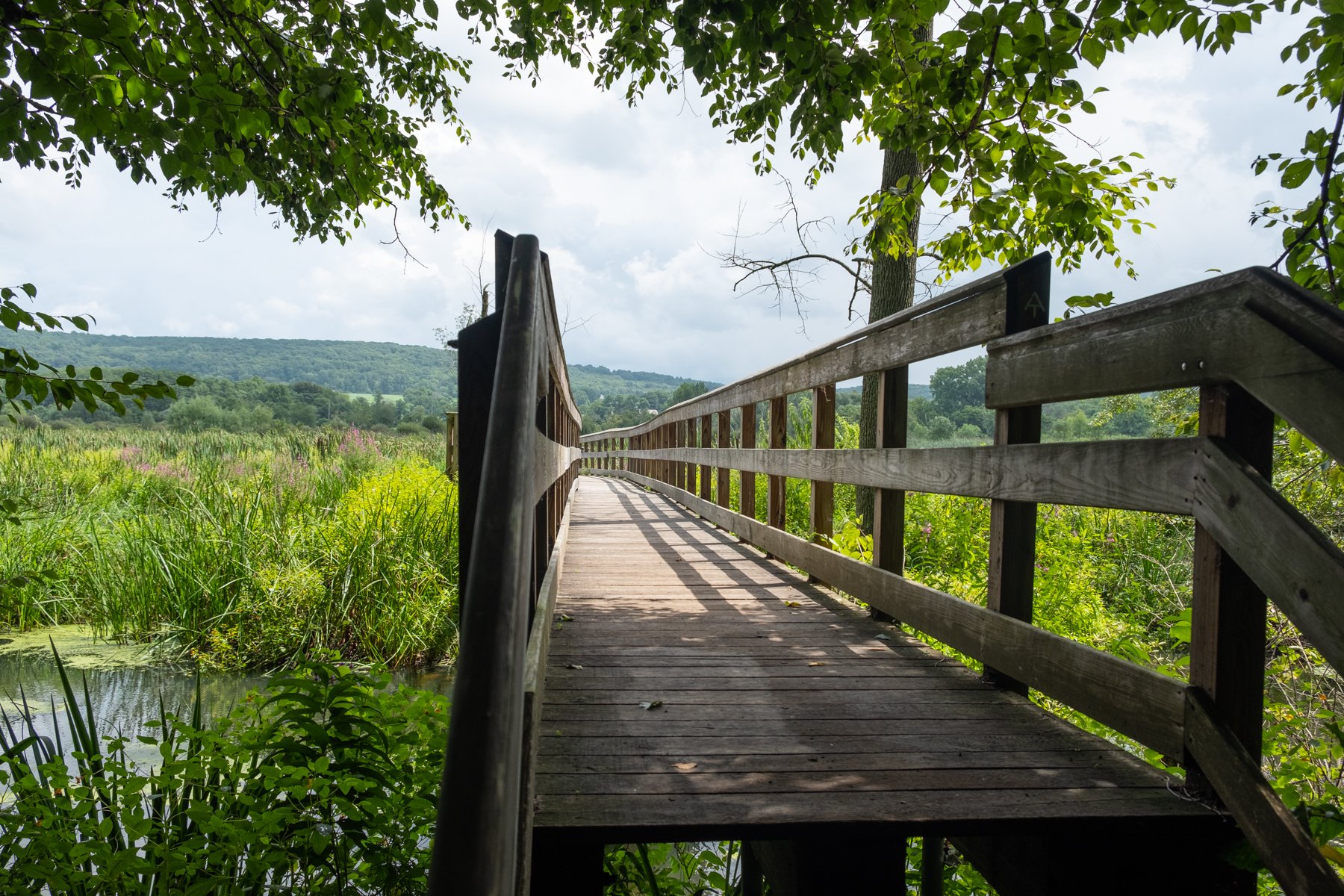 A Guide to Hiking Near NYC without a car Mappy Hour Blog