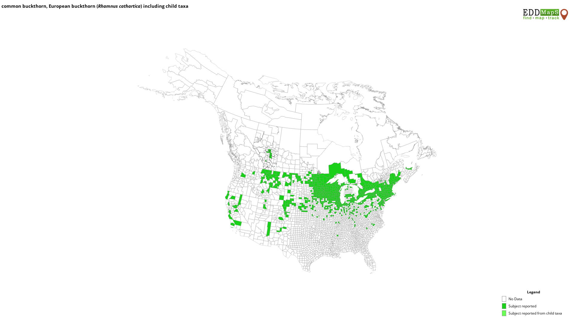 Common Buckthorn Distribution Map Europe common buckthorn, European buckthorn, Rhamnus cathartica Rhamnales