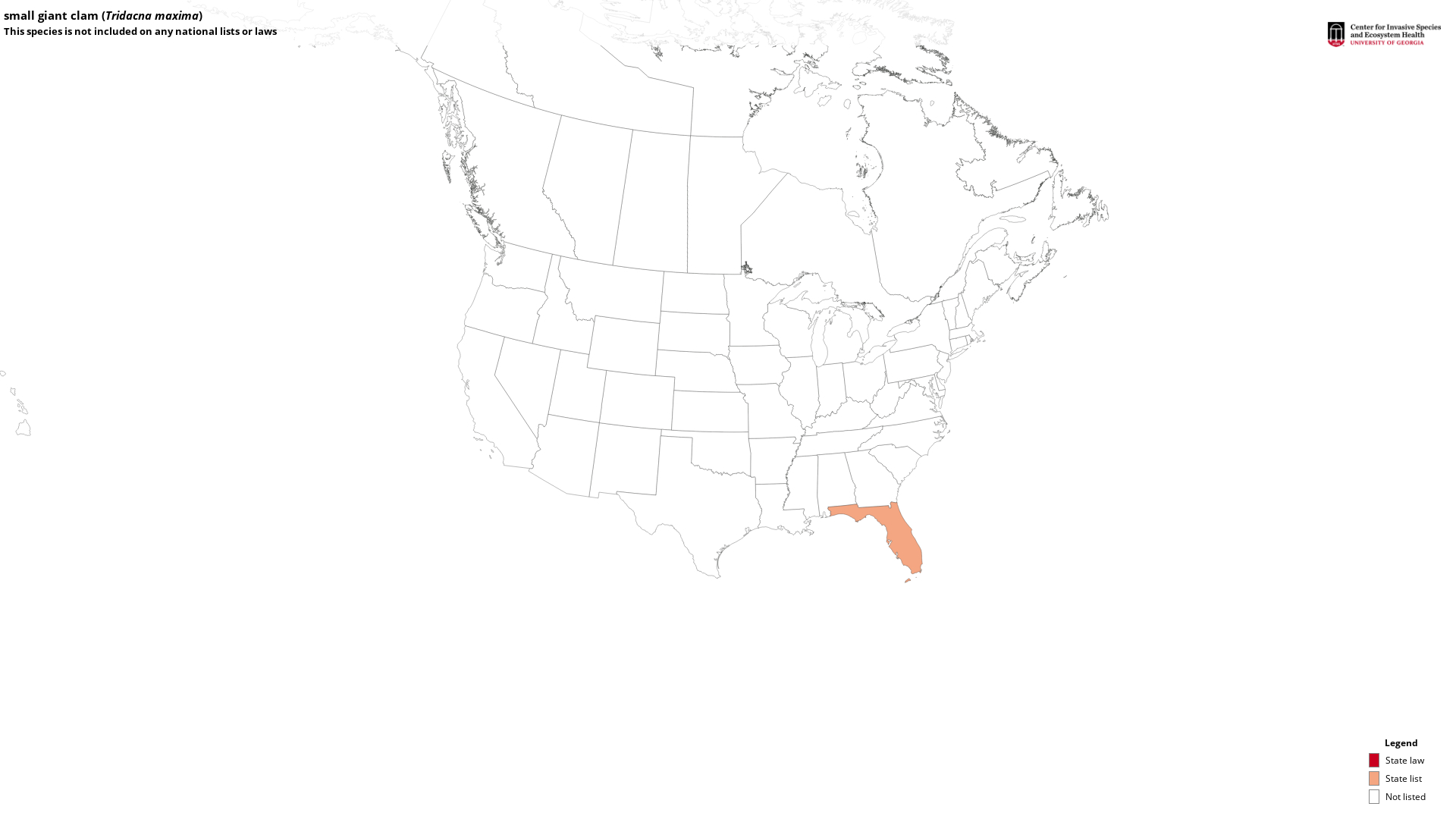 Giant Clam Coloring Page Amconstructors Com