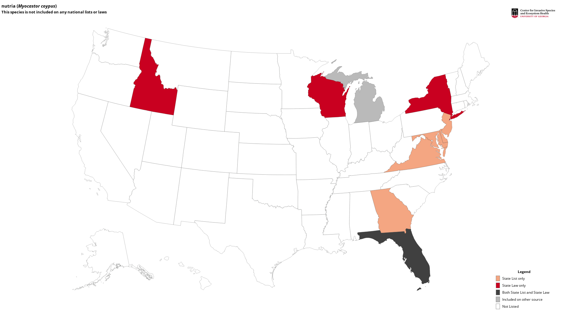 nutria, Myocastor coypus Rodentia Echimyidae