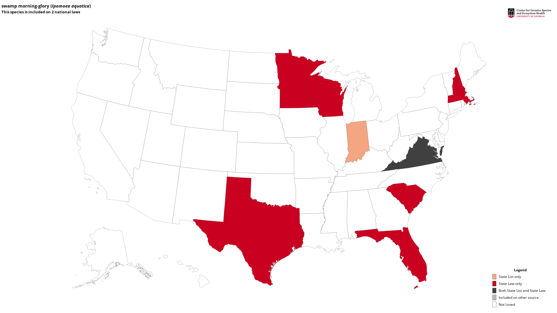 swamp morningglory, Ipomoea aquatica Solanales Convolvulaceae