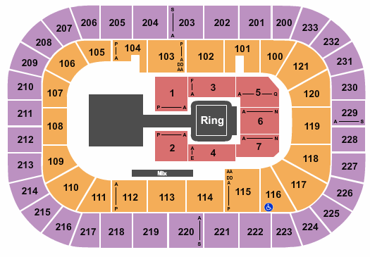Bon Secours Wellness Arena Seating Chart & Maps Greenville