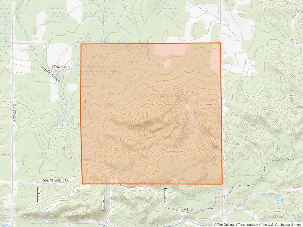 'Michigan Basin Oil and Gas Lease' 80 acres in Oscoda