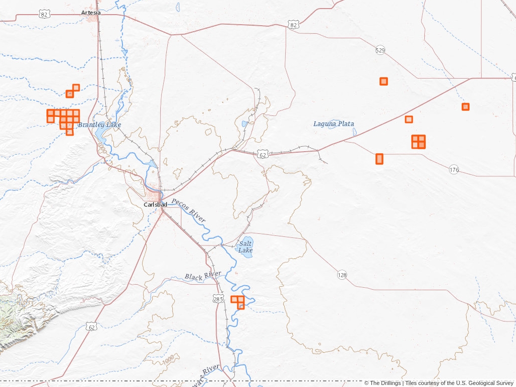 Holsum Inc. of Roswell, New Mexico 19 Oil and Gas Leases The Drillings™