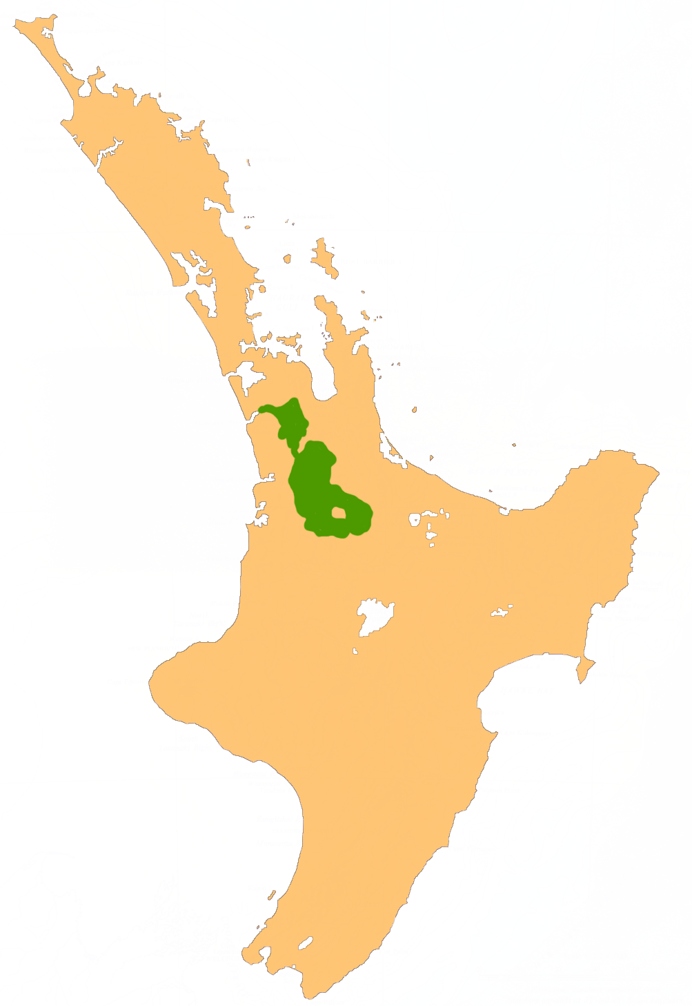 Nz Waikato P •