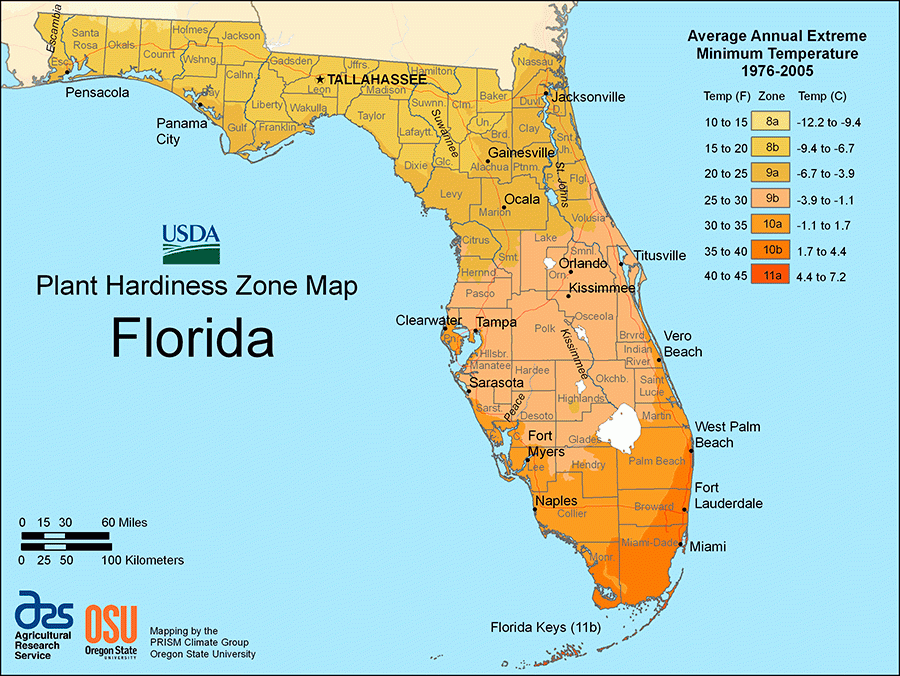 Florida Geography Map Maps Of Florida