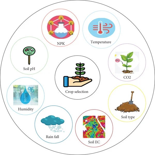 Crop Management and Production MaPuPa