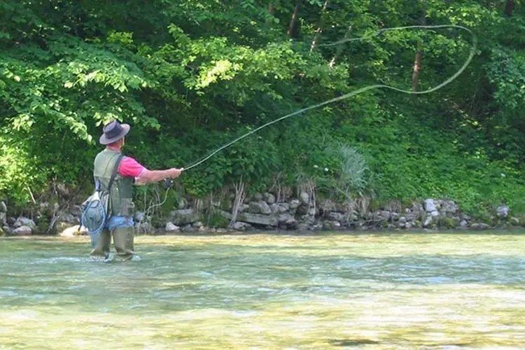 Fly Fishing for Beginners MaPuPa