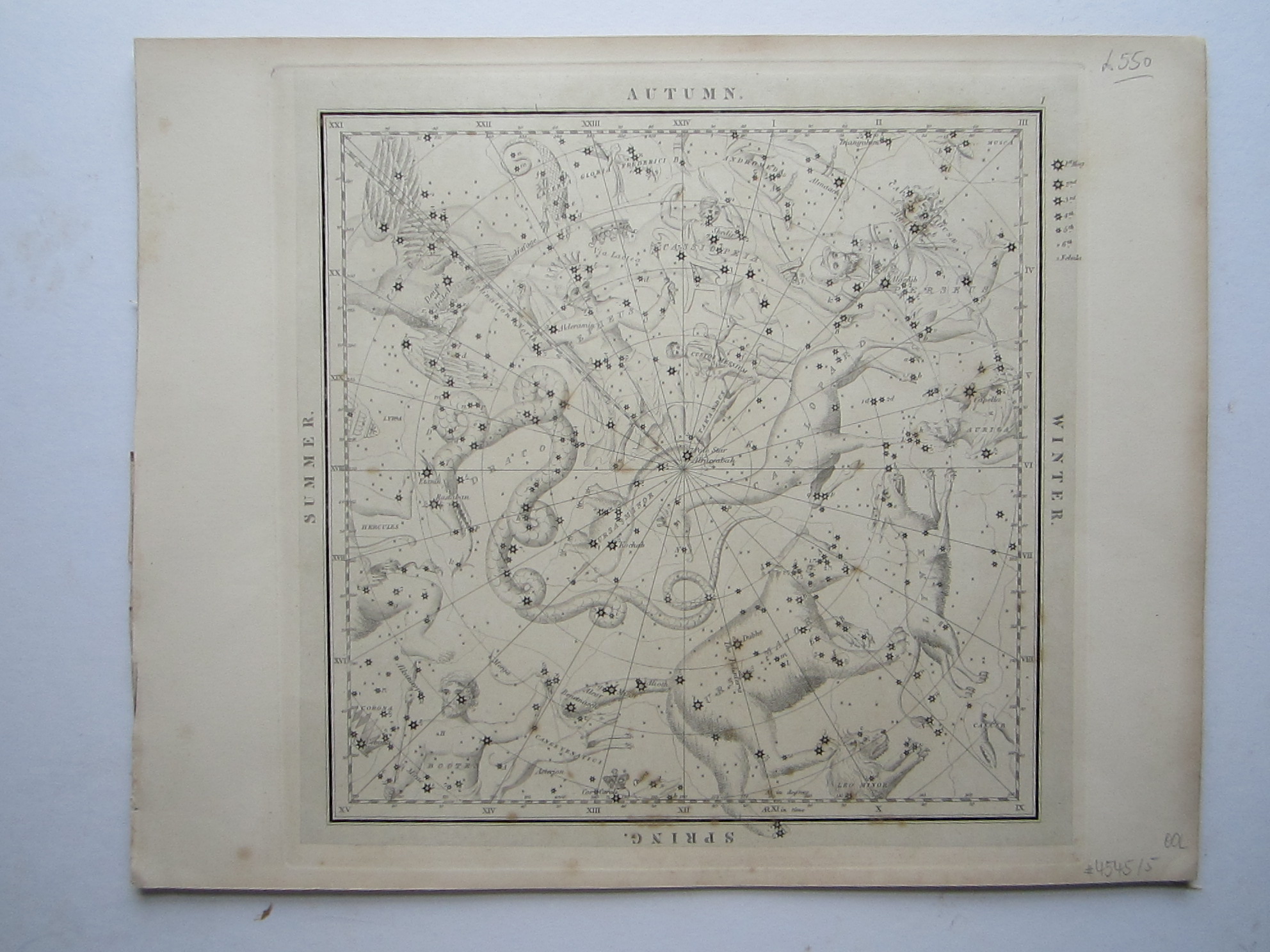 Celestials Zodiacs Map Woman