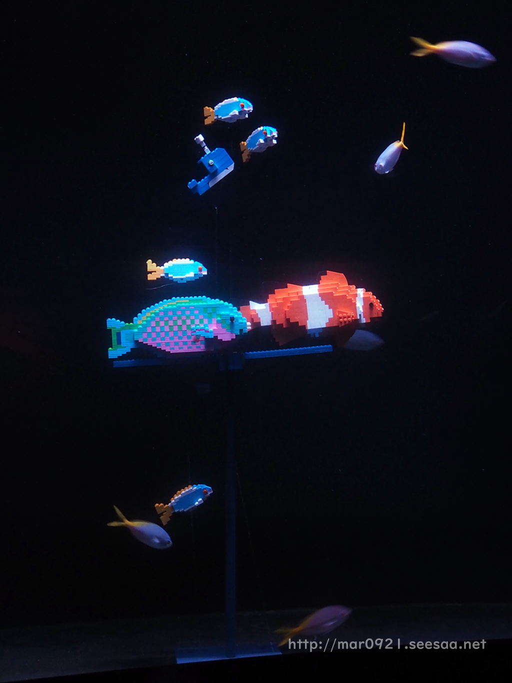 落花生 人里離れた ライム 金城ふ頭 水族館 gasliving.jp
