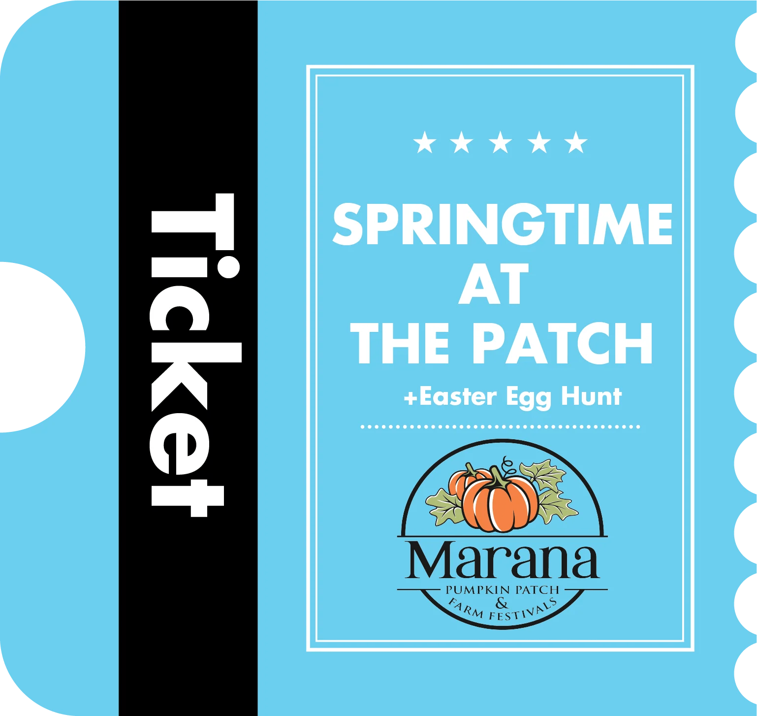 Springtime Marana Pumpkin Patch