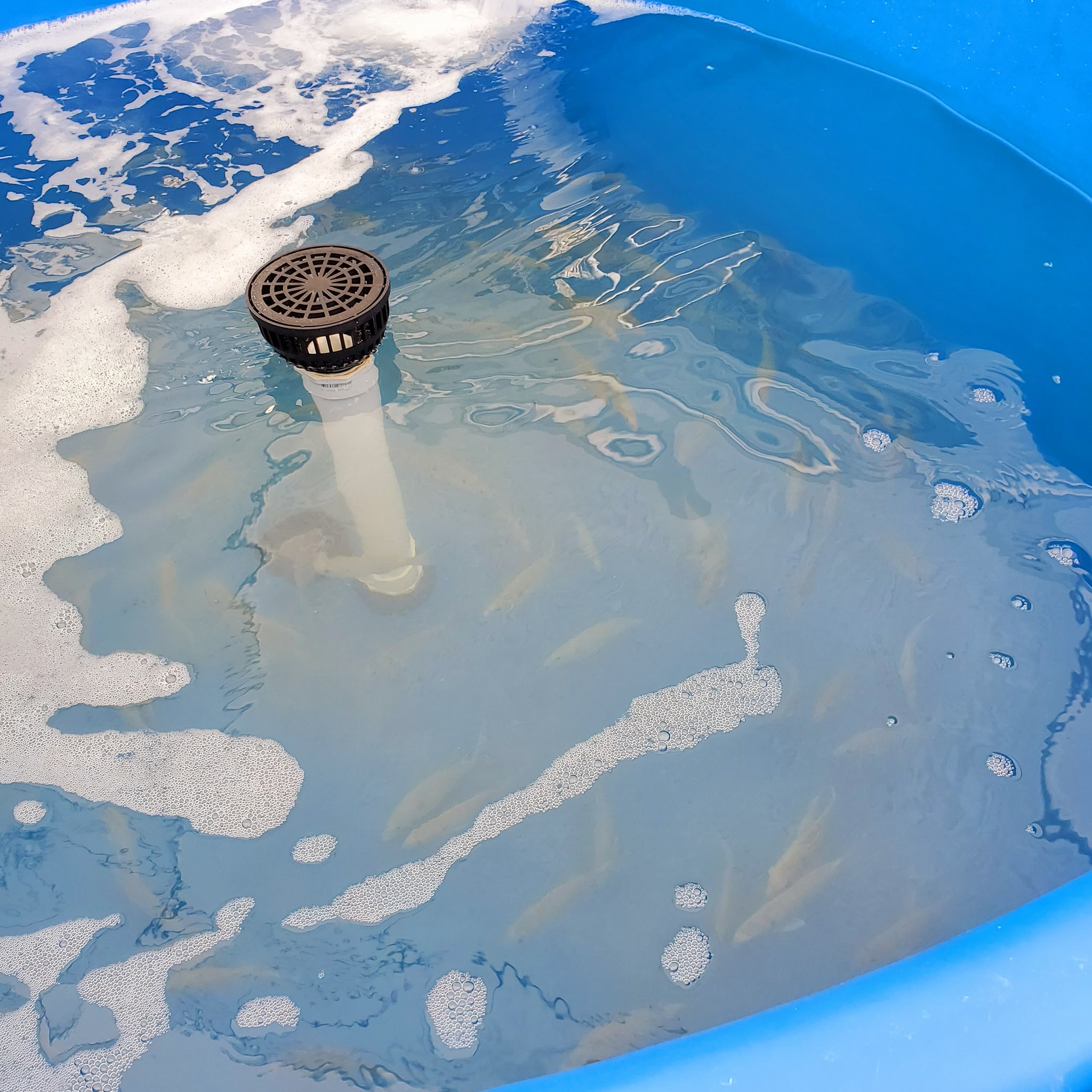 Tackle shop Marathon Keys Maritime Specialty Bait