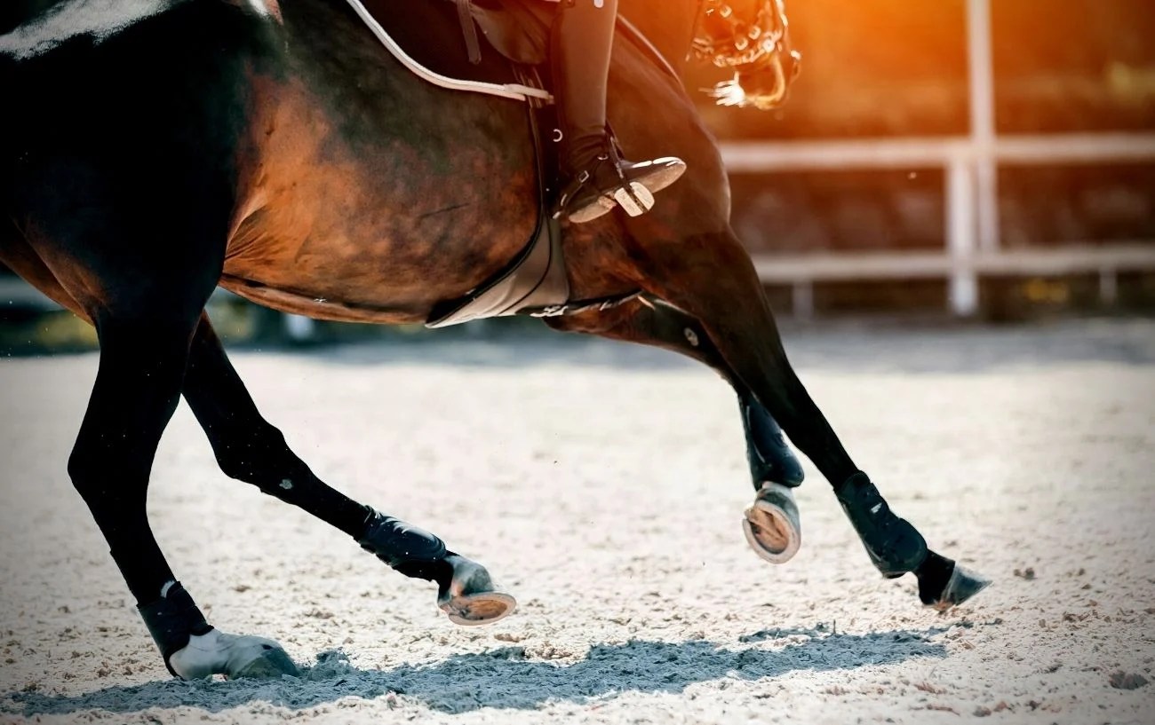 Peak Athleticism Athletes' Peak Age By Sport And Sex