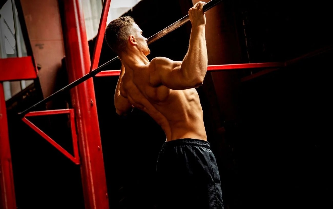What Muscles Do Pull Ups Work?