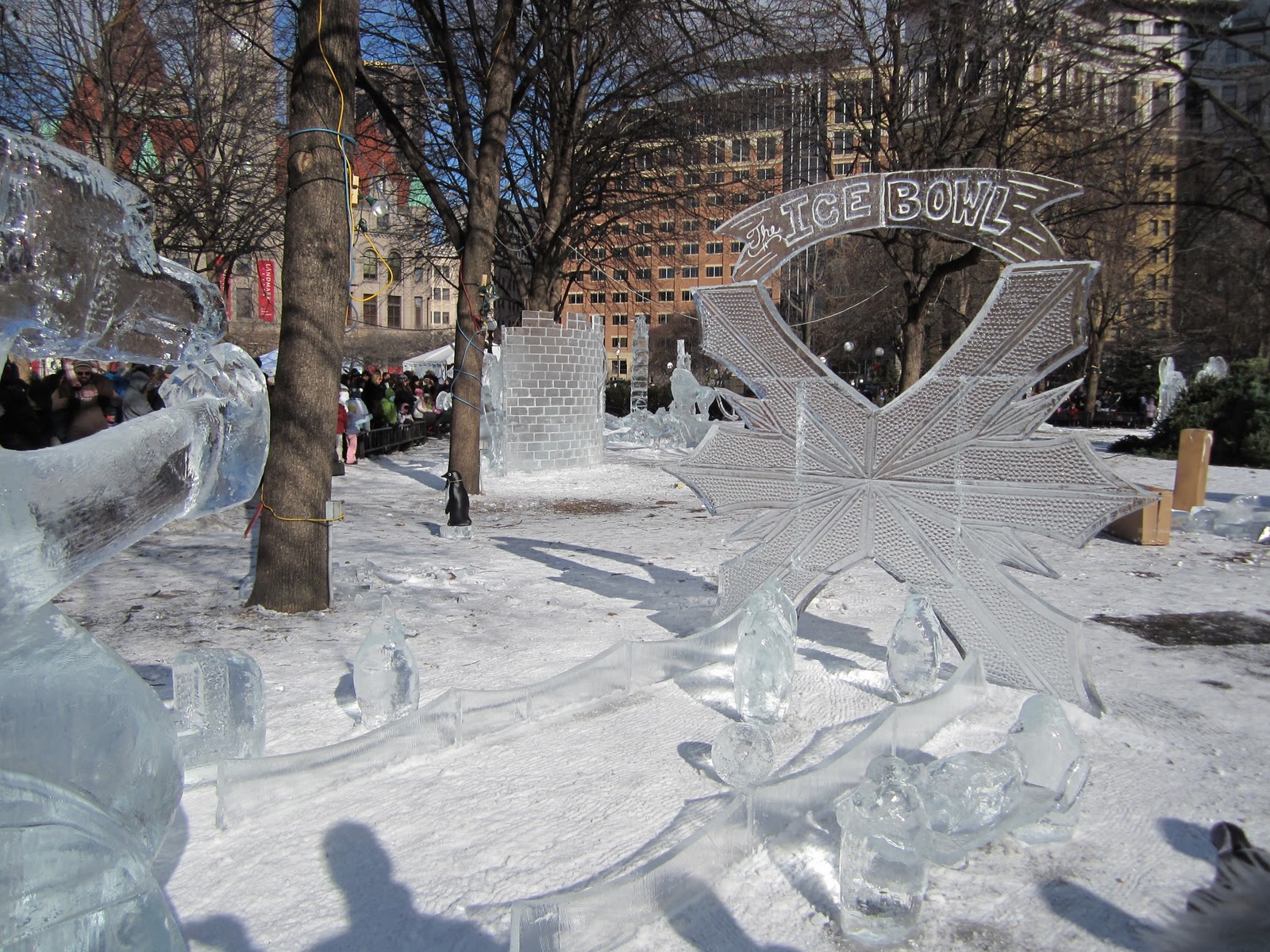 Corner Brook, NL A Mecca For Winter Activities! Marble Zip Tours