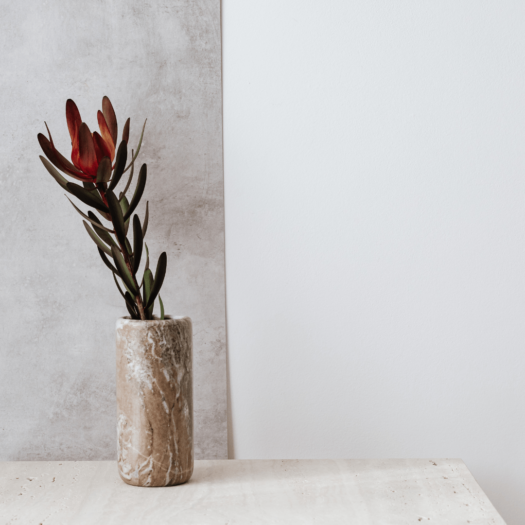 Why does marble increase the value of a property? Barcelona marbles