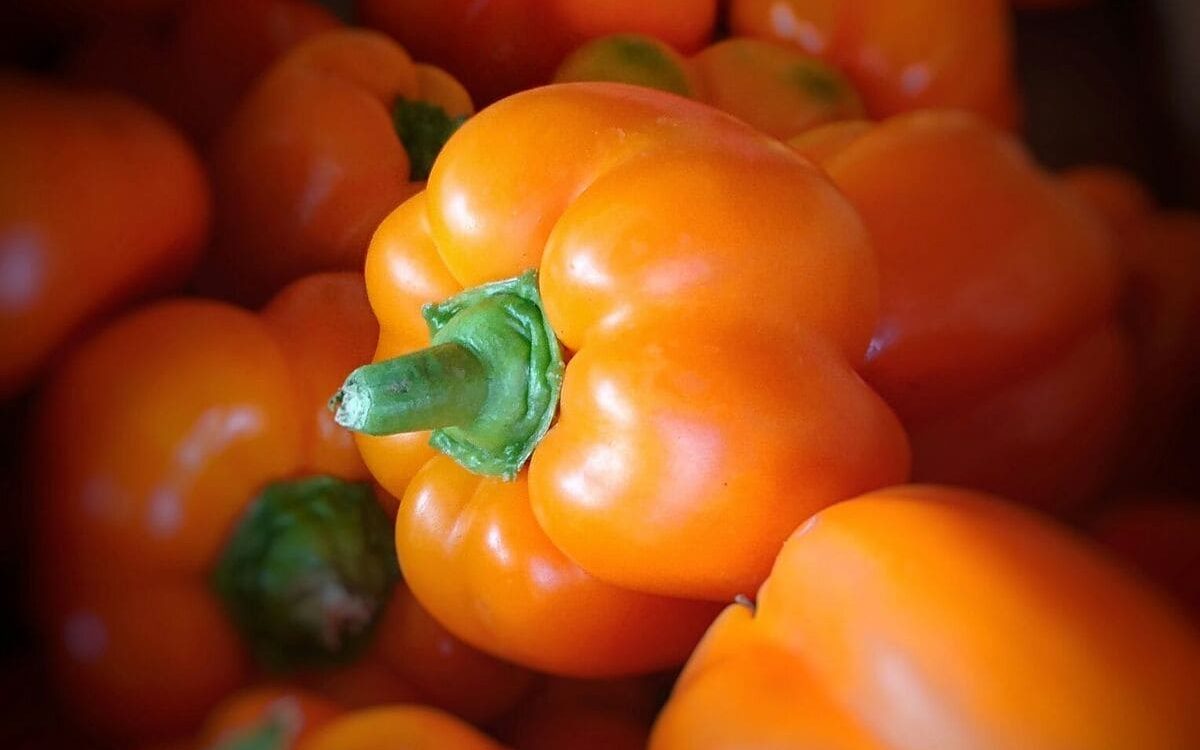 La pimienta picona canaria, ingrediente fundamental Marca Canaria