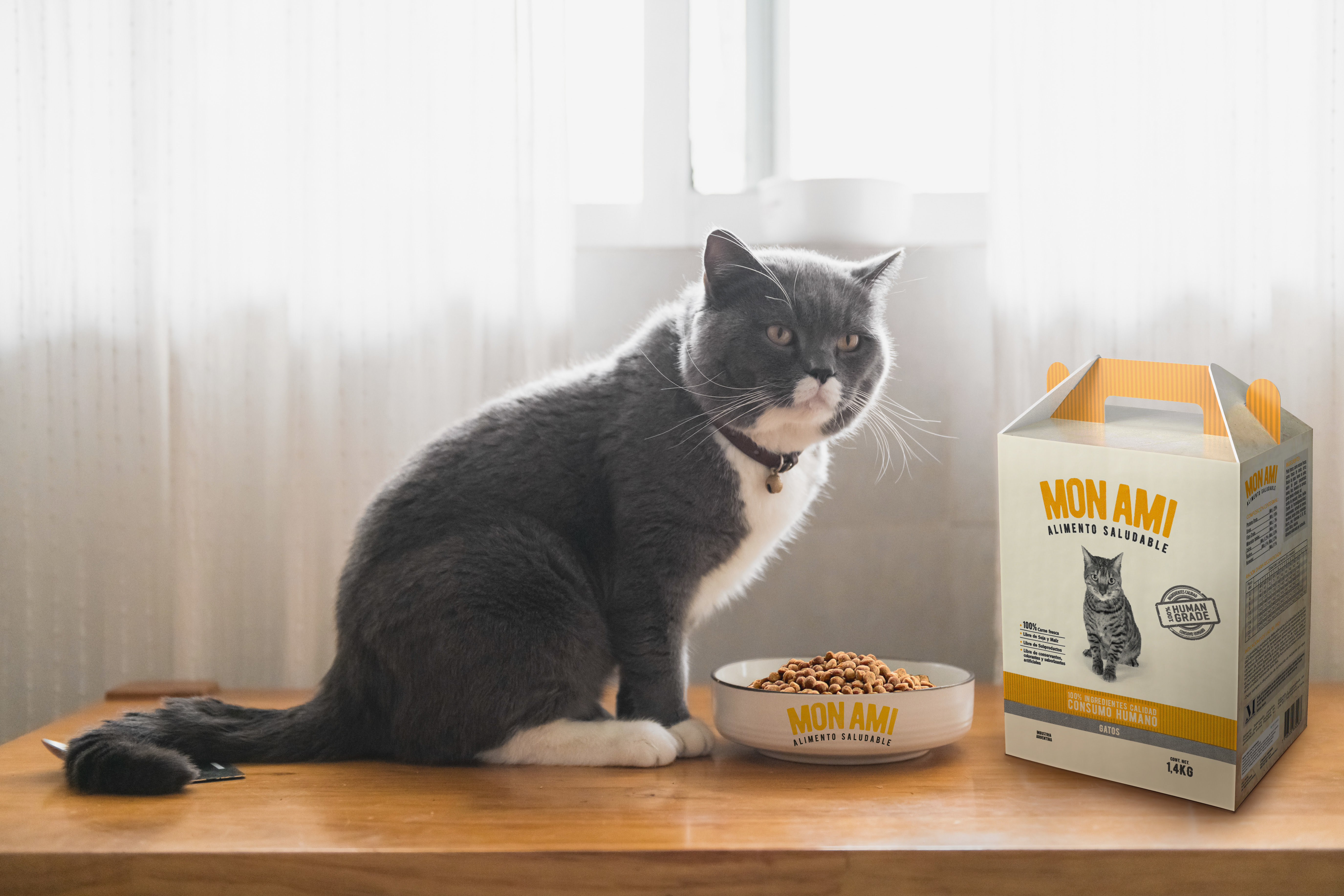 NUEVO SPOT DIGITAL DE LA CAMPAÑA DE ALIMENTOS SALUDABLES PARA GATOS
