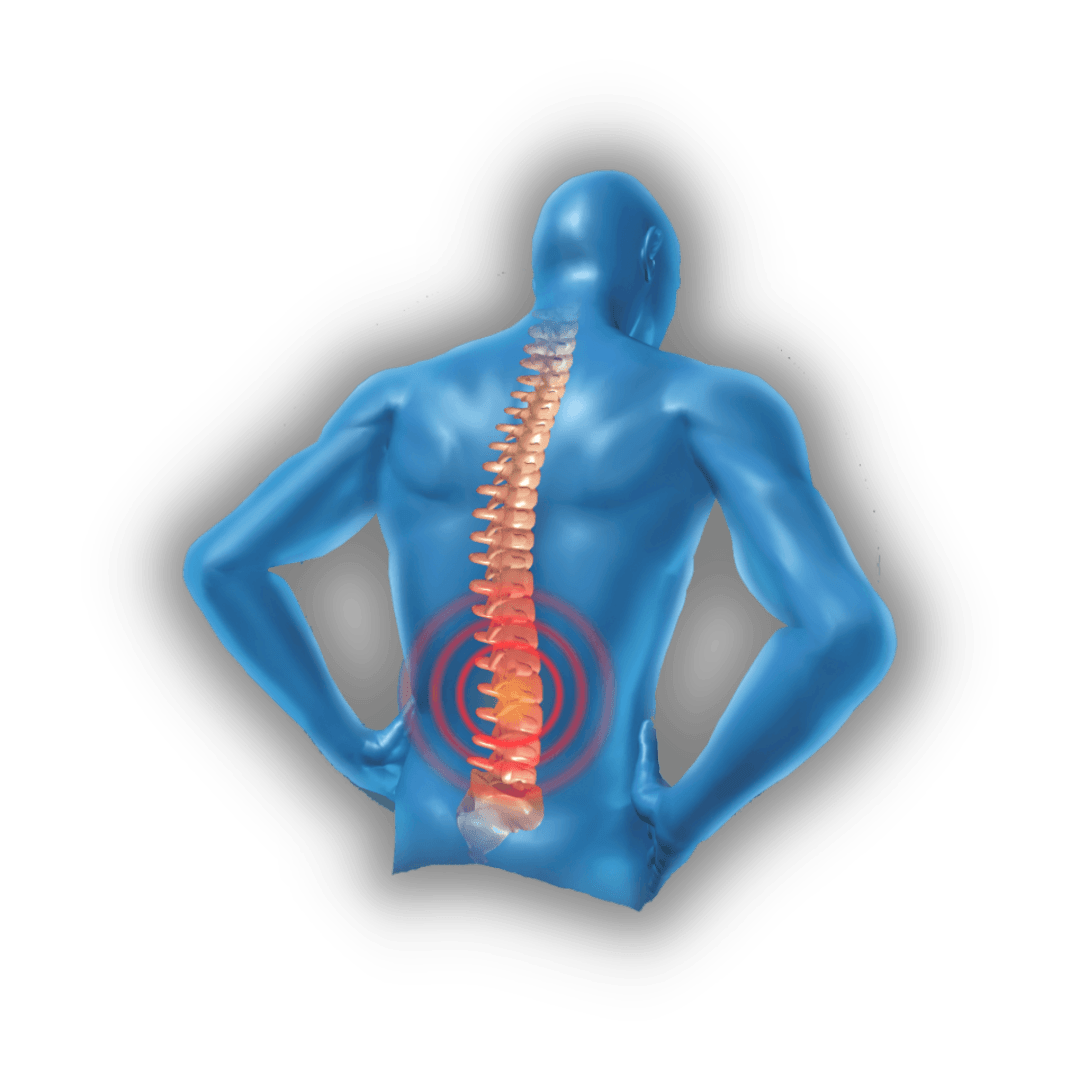 Physical Therapy for Back Pain Relief Marcel Jacobs PT