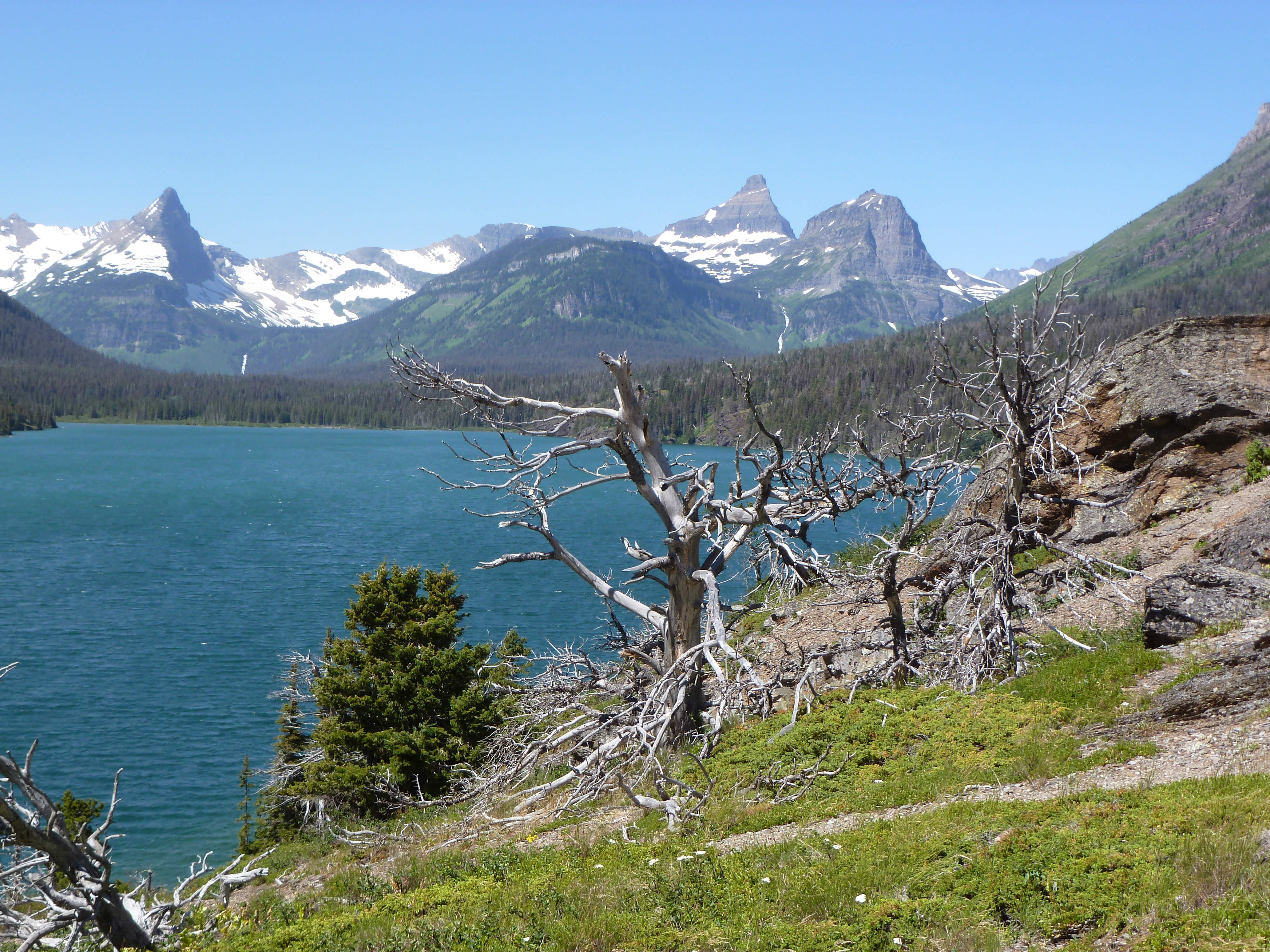 The Year In Pictures. A Look Back At 365 Days On The Road Halcyon Highway