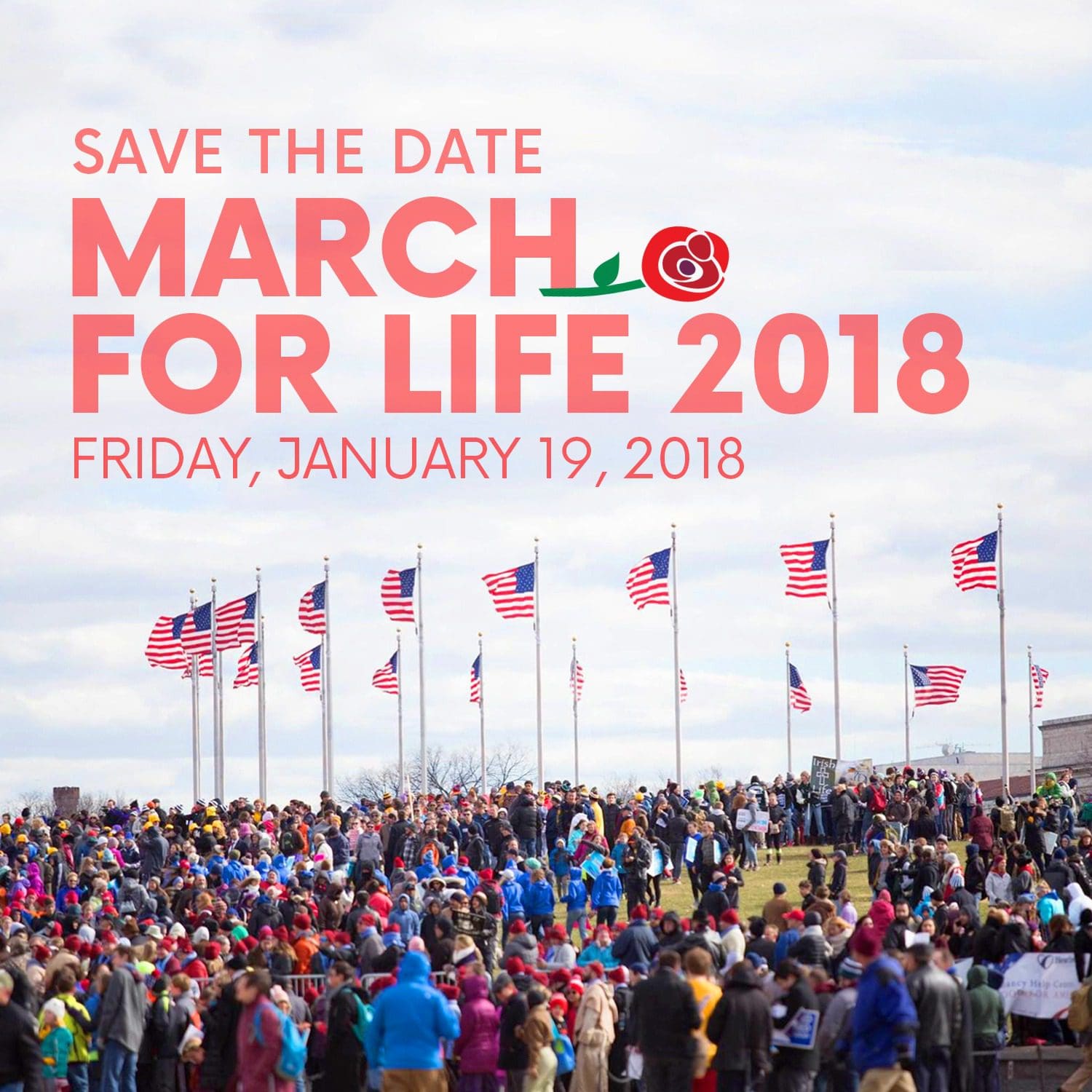 What Can You Do Today to March for Life?