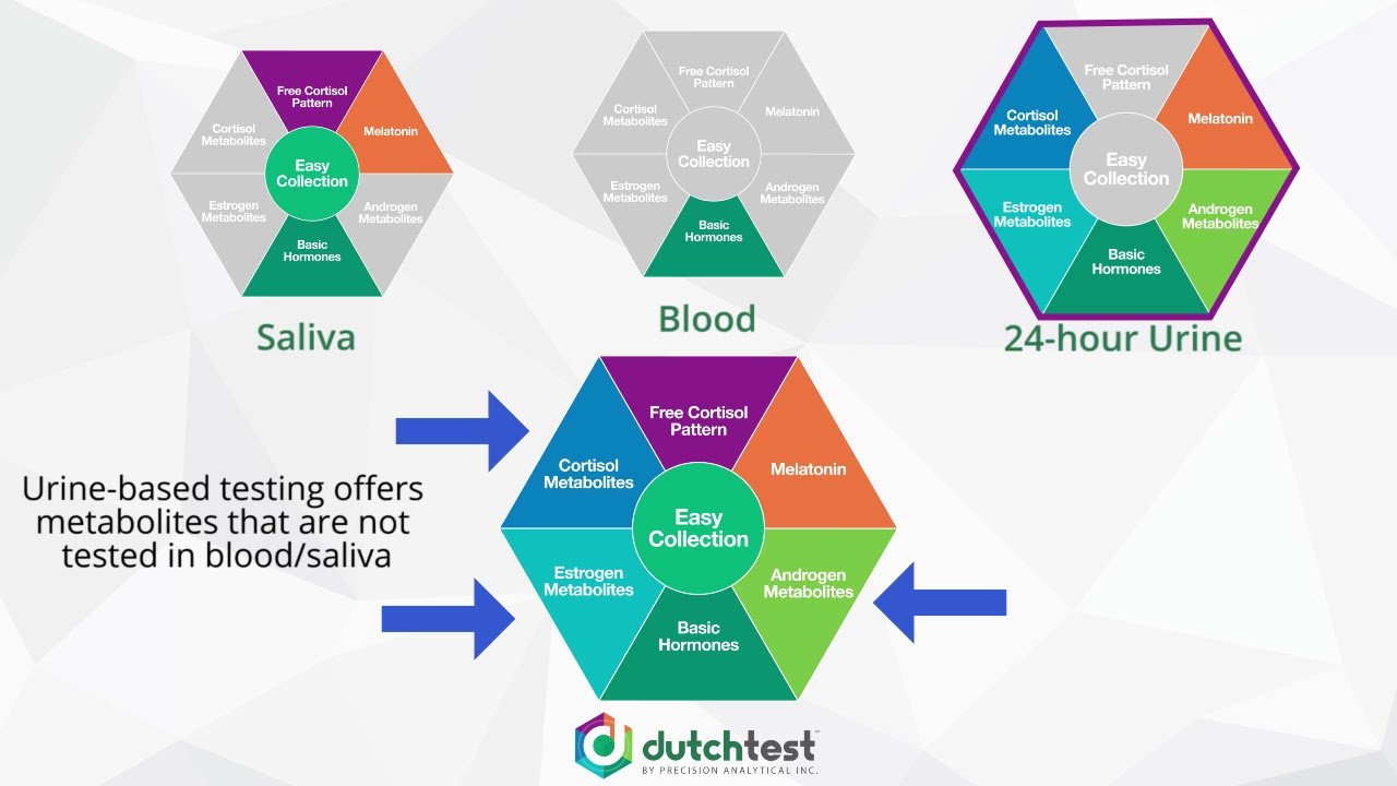 Should you do the DUTCH test? Showit Blog