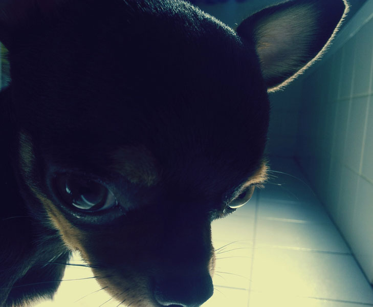 ABOUT MARCOLD REFRIGERATION The Best Refrigeration