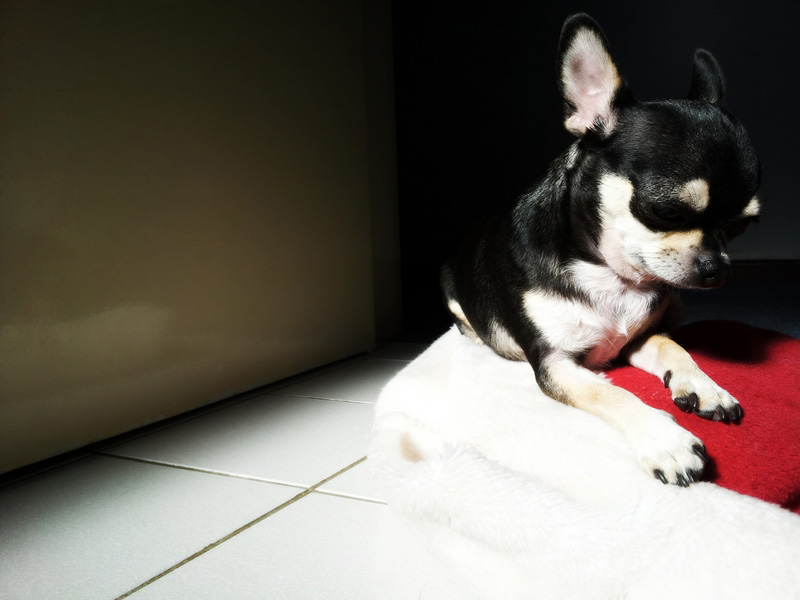 ABOUT MARCOLD REFRIGERATION The Best Refrigeration