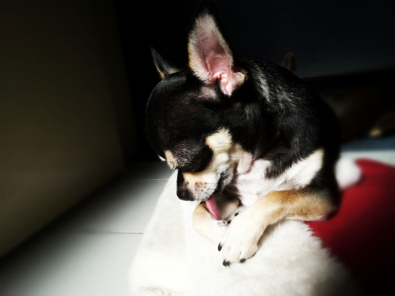 ABOUT MARCOLD REFRIGERATION The Best Refrigeration