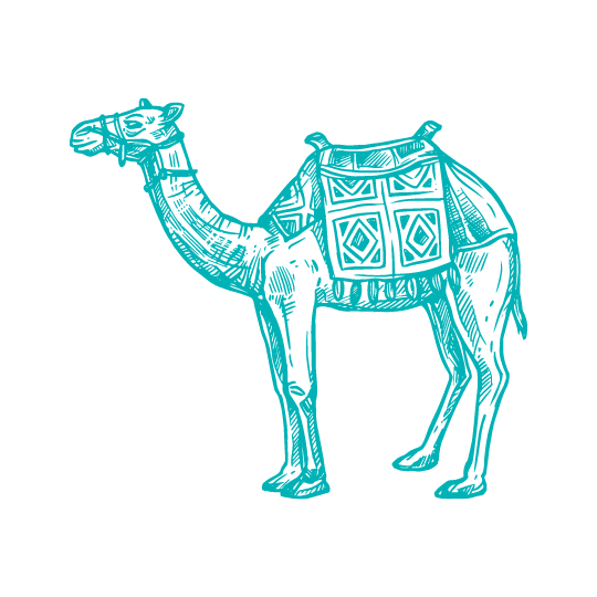 AP® Lesson Plan Bundle for World History Marco Learning